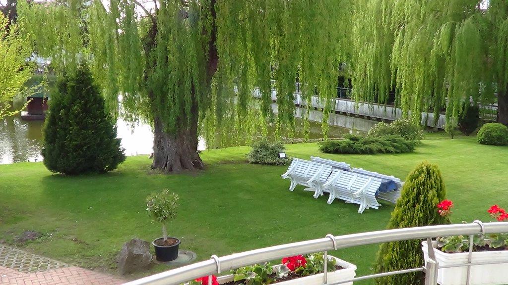 Garten / Park